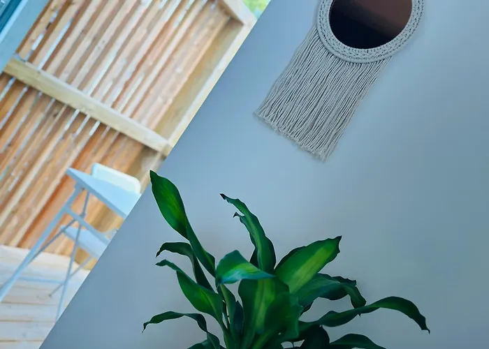Le Freyja , T2 Cosy Et Moderne