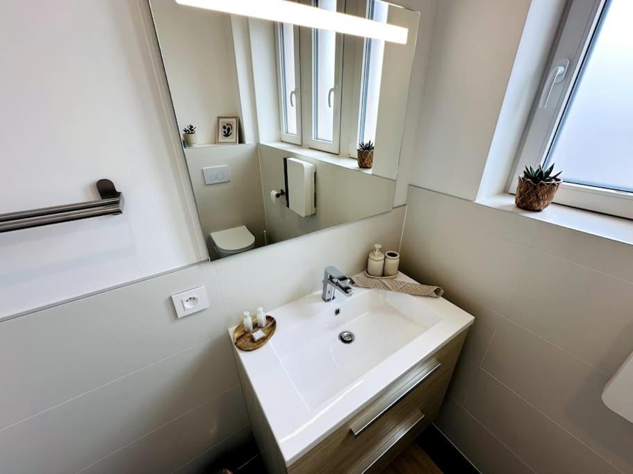 Apartment Le Freyja , T2 Cosy Et Moderne Illzach