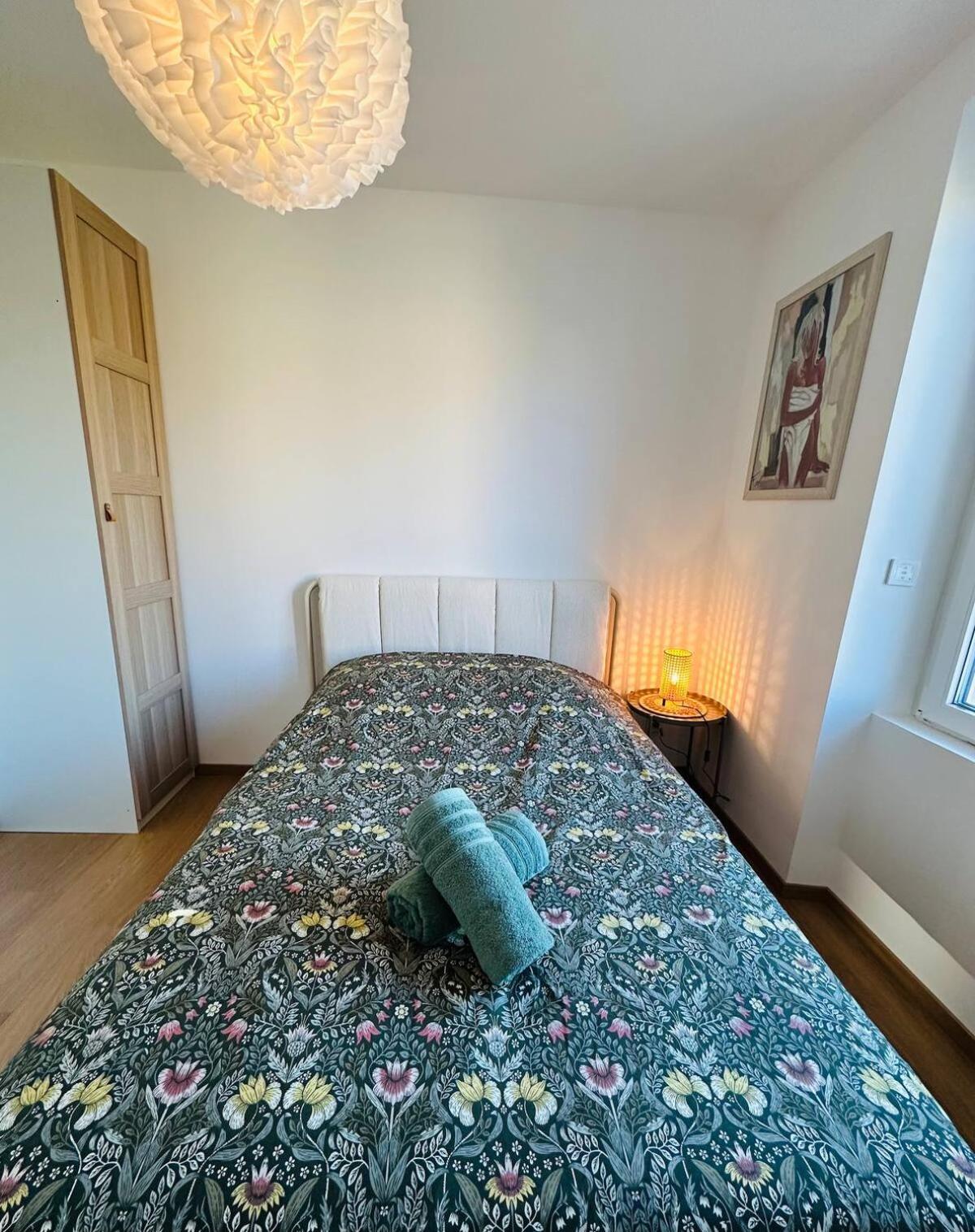 Le Freyja , T2 Cosy Et Moderne Illzach